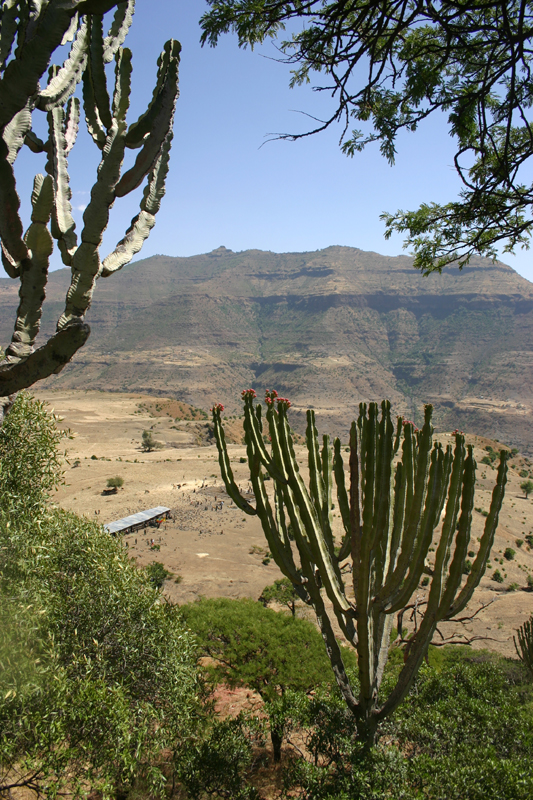 looking at school from top of church